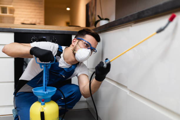 Best Pest Removal Services  in Leisure Village East, NJ