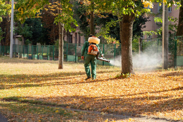 Wildlife Control Services in Leisure Village East, NJ